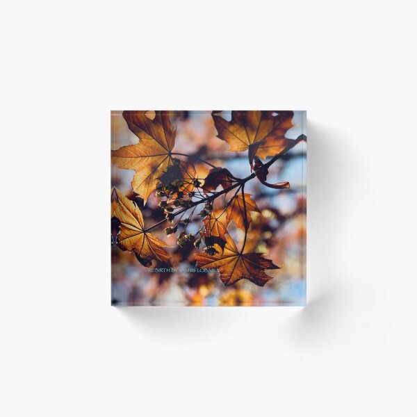 Rebirth Acrylic Block