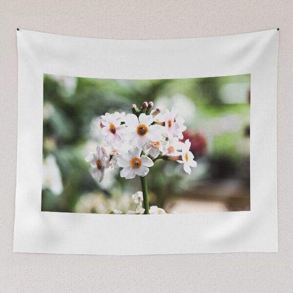 Item preview, Milkweeds at Savill Garden staring at you designed and sold by santoshputhran.