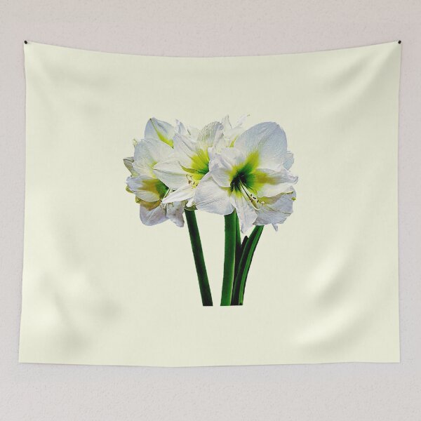 Item preview, Amaryllis Green Princess designed and sold by Susan Savad.