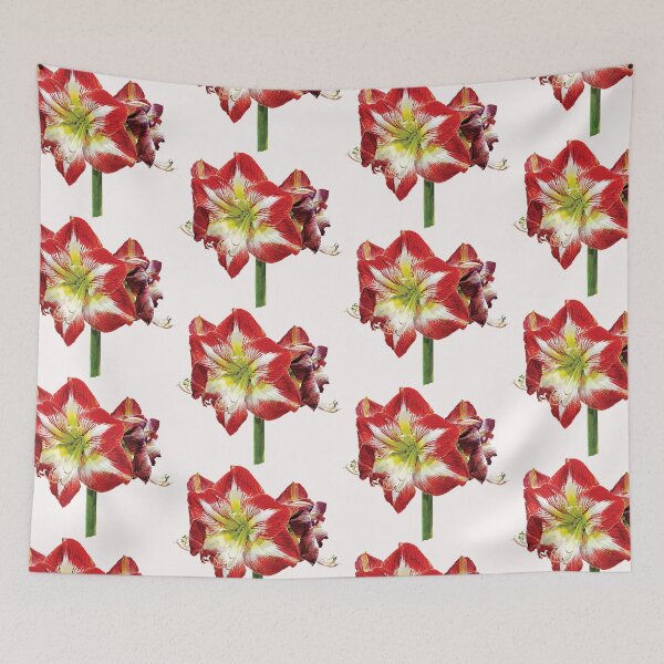 Item preview, Amaryllis Minerva designed and sold by Susan Savad.