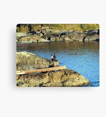 Friends Canvas Print