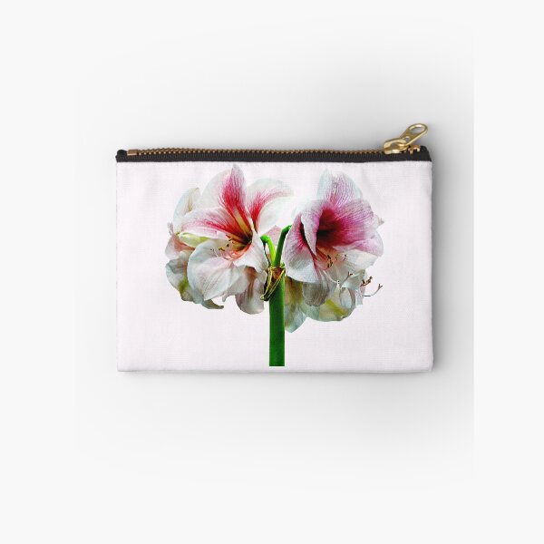 Item preview, Amaryllis Novella designed and sold by Susan Savad.