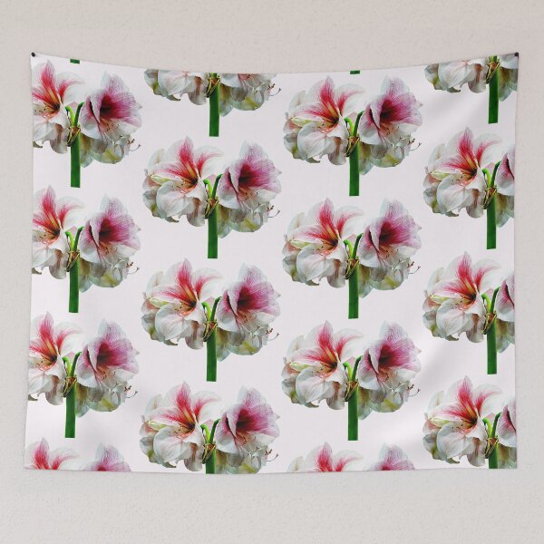 Item preview, Amaryllis Novella designed and sold by Susan Savad.