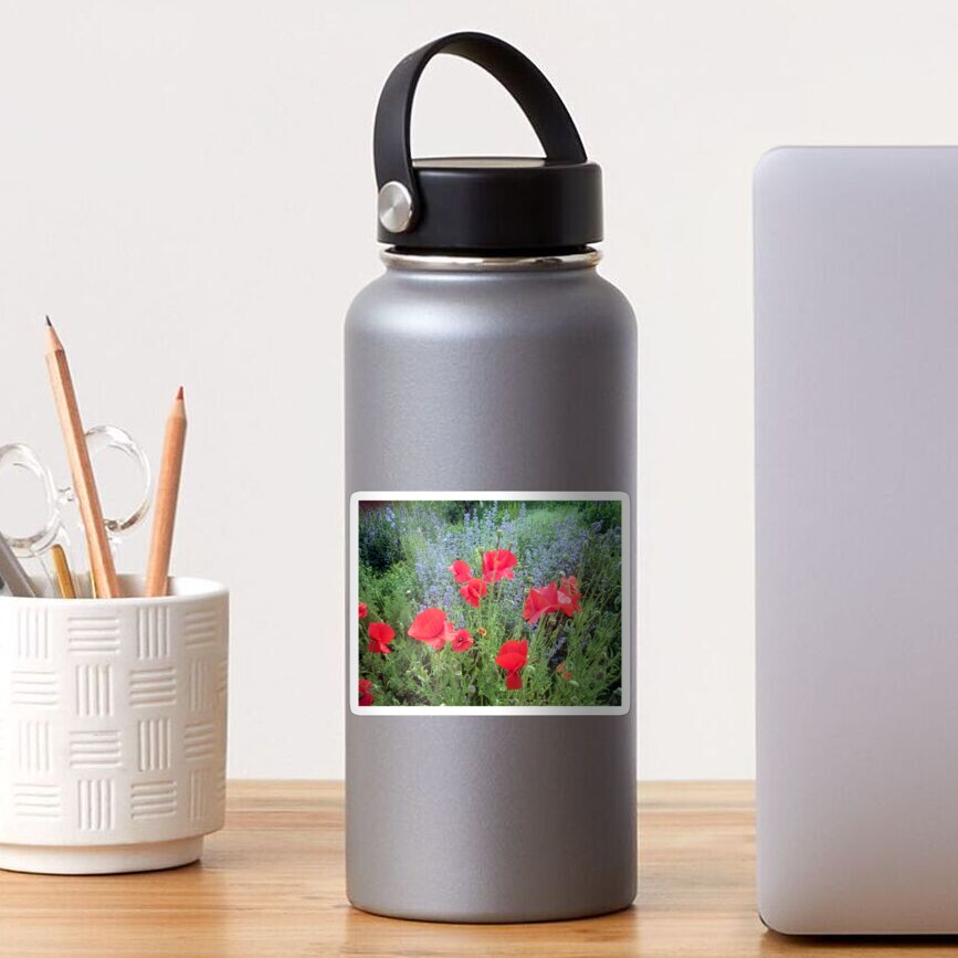 Mohn vor Salbei Sticker