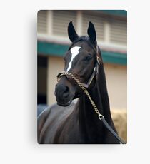 Zenyatta Canvas Print