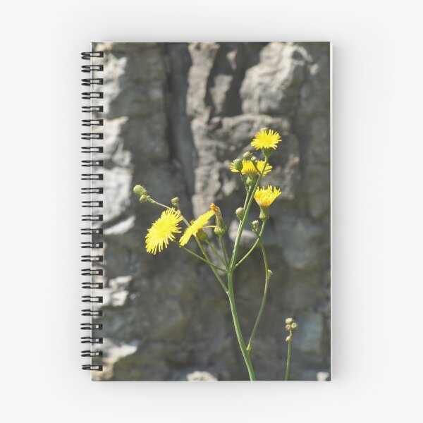 Item preview, flower and stone designed and sold by SRosuphotos.