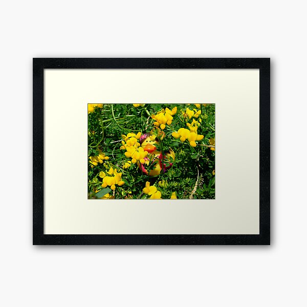 HC Series: In the Yellow Framed Art Print