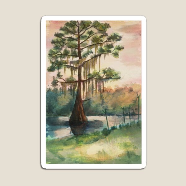 Item preview, Florida mangrove swamp sunset cypress tree designed and sold by ButtercupSaiyan.