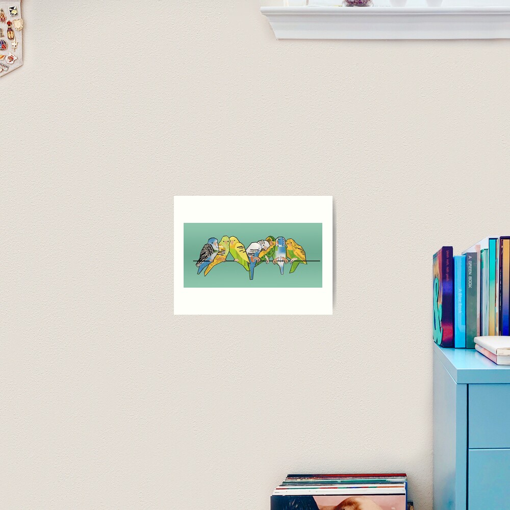 Budgerigar Art Print