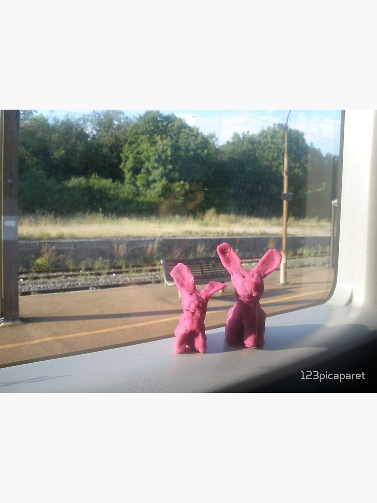 Rabbits on a train by 123picaparet