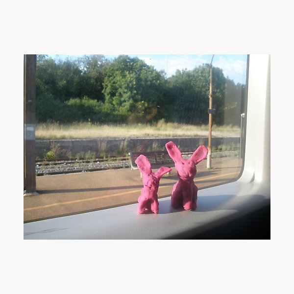 Rabbits on a train Photographic Print