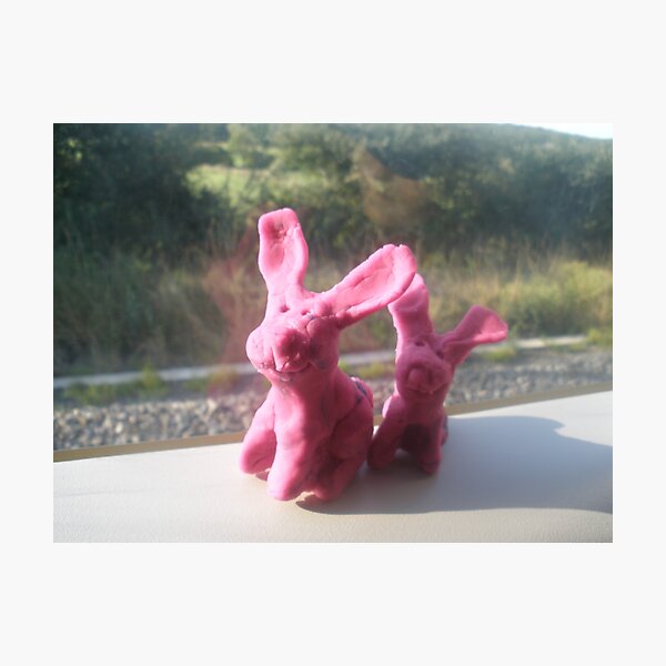 Rabbits on a train II Photographic Print
