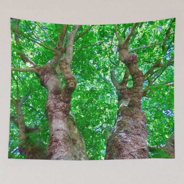 Item preview, Amazing trees : Bath City,England UK  designed and sold by Angela Haig-Harrison.