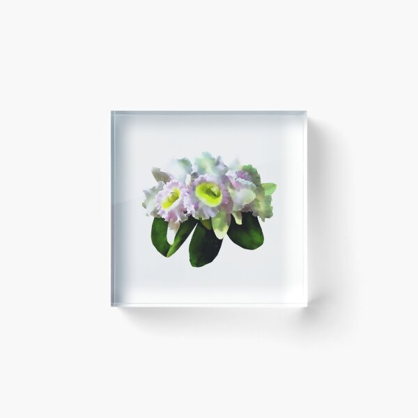 Item preview, BLC Mary Ellen Underwood Krull-Smith designed and sold by Susan Savad.