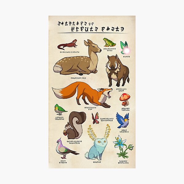 Wildlife of Hyrule Field Photographic Print