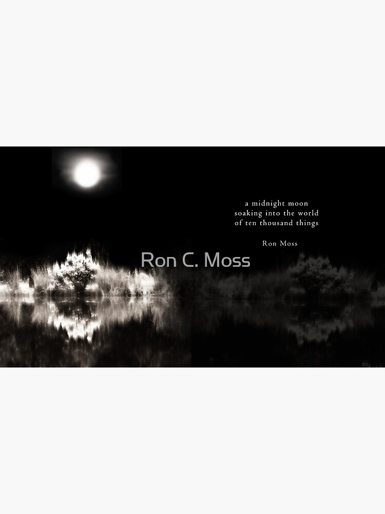 Into The World by ronmoss