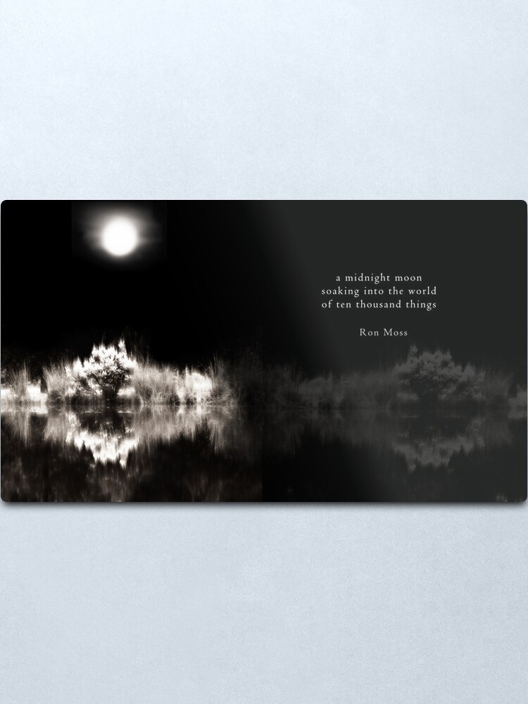 Alternate view of Into The World Metal Print