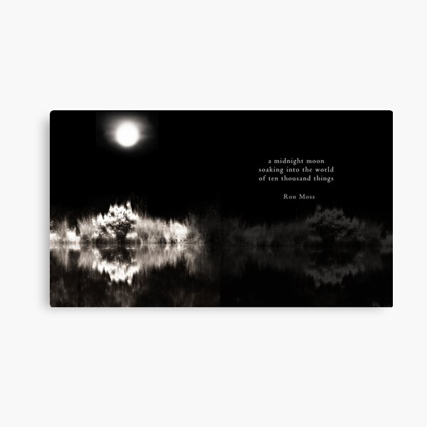 Into The World Canvas Print