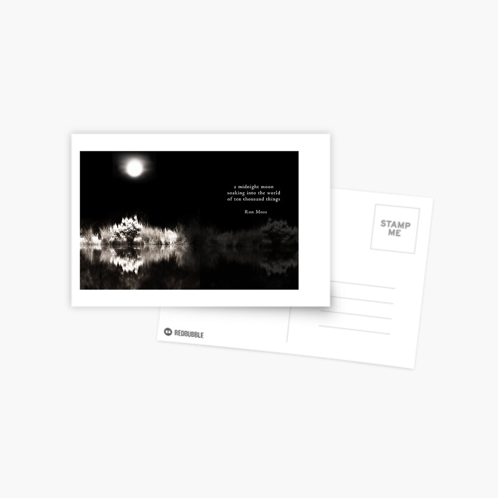 Into The World Postcard