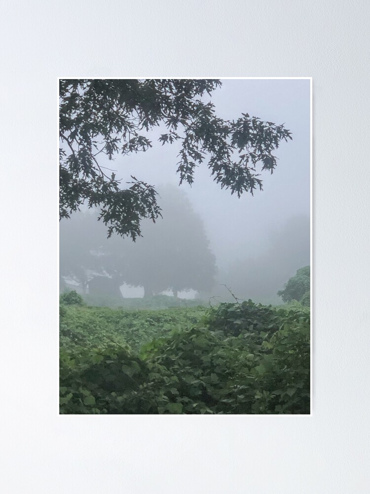 Imagen 1 de 3, Póster con la obra Foggy Morning , diseñada y vendida por Smilingmark147.