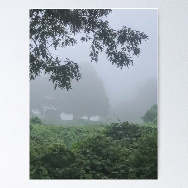 Artikelvorschau, Foggy Morning  entworfen und verkauft von Mark Toyra.