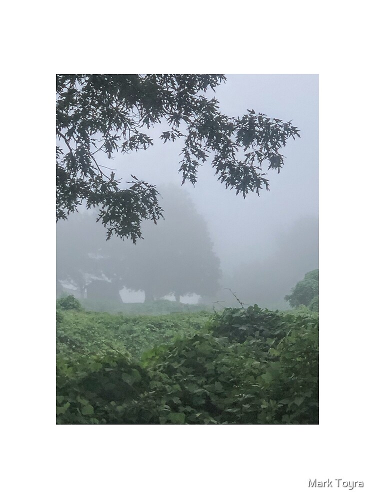 Aperçu 3 sur 3. Foulard avec l'œuvre Foggy Morning  créée et vendue par Mark Toyra.