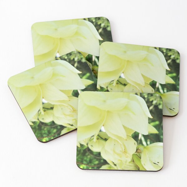 Item preview, Yucca Flowers designed and sold by MooseDogPhotos.