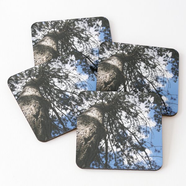 Item preview, Pine Tree from Below by Courtney Hatcher designed and sold by cghatcherart.