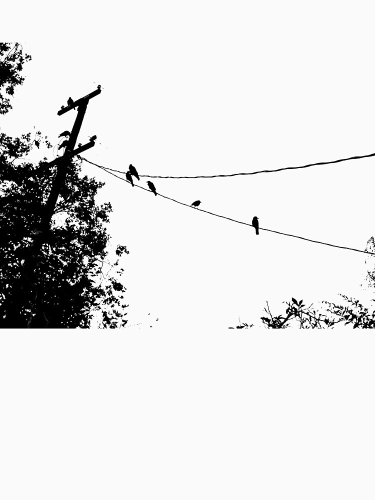 Crows on a wire by douglasewelch