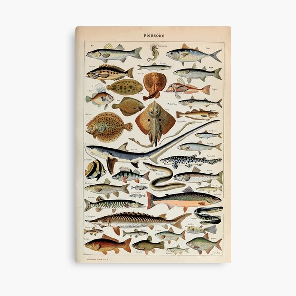 Item preview, Adolphe Millot poissons pour tous designed and sold by wetdryvac.