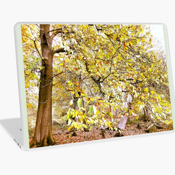Countryside, Lakes & Forest C191 Laptop Skin