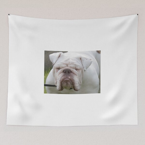 Item preview, Ultimate Bulldog designed and sold by Roger Easley.