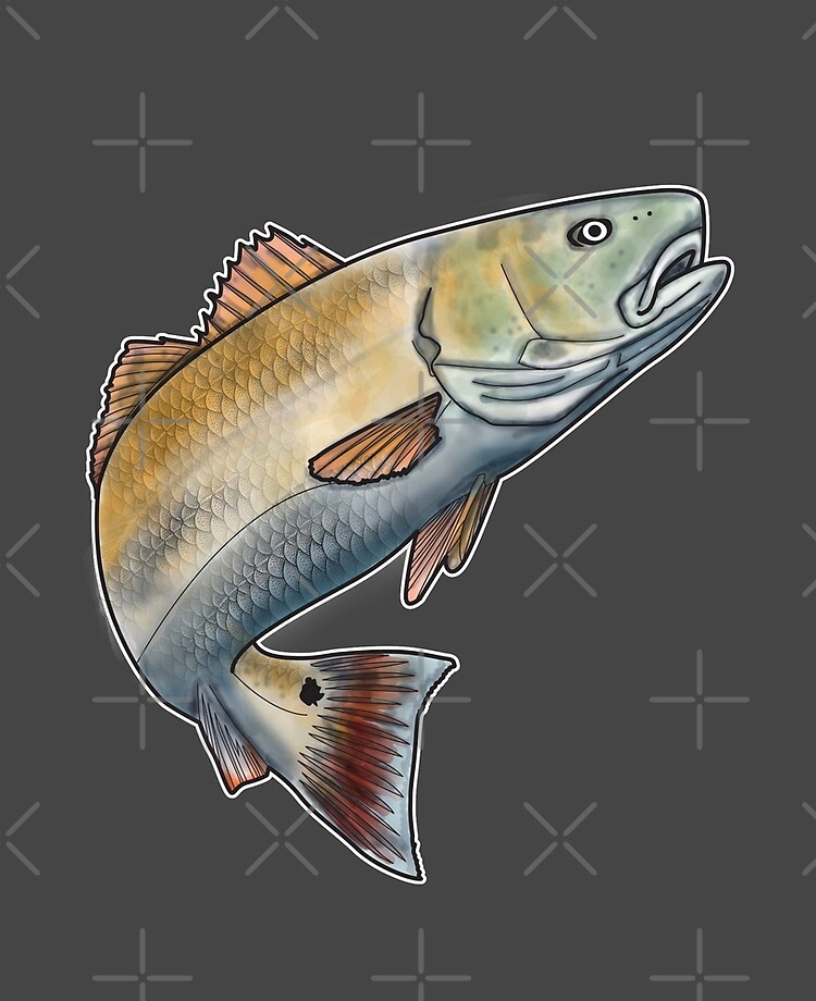 Red Drum Fish Saltwater Game Bull Fishing Sticker for Sale by