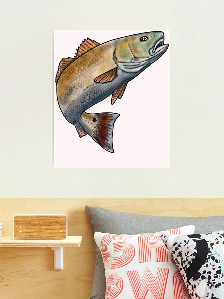 Red Drum Fish Saltwater Game Bull Fishing Art Board Print for Sale by  bigraydesigns