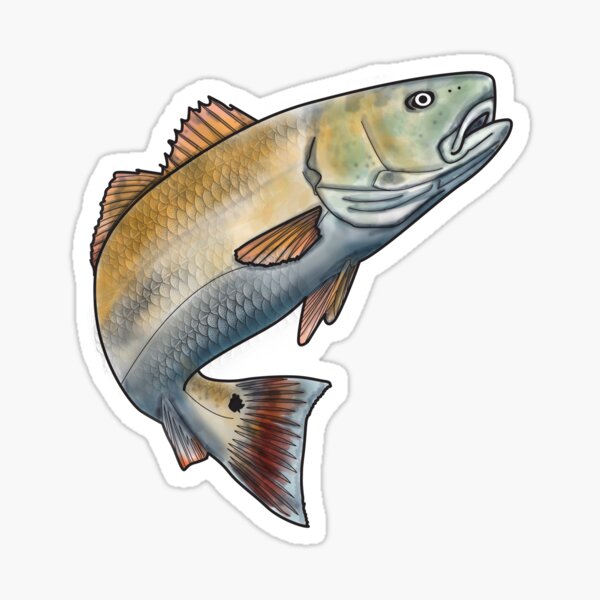 American flag Redfish Red Drum Spot Tail Bass Inshore Fishing sticker decal