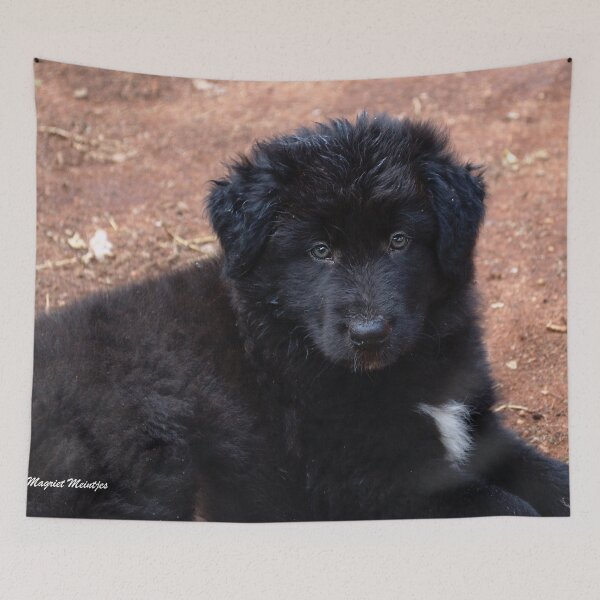 Item preview, REMEMBER "NAUGHTY" HARRY? designed and sold by Magriet Meintjes.