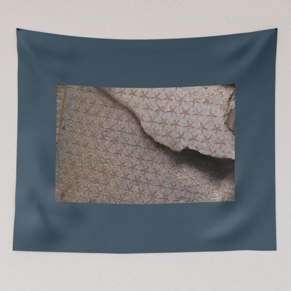 Item preview, Stars on the ceiling designed and sold by aligata1970.