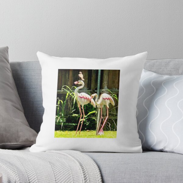Item preview, Bird on flamingo designed and sold by Mark Toyra.