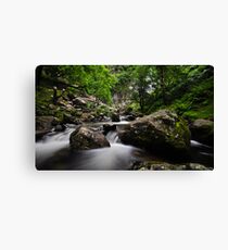 River at Aber falls Canvas Print