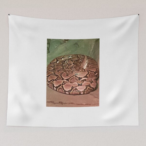 Item preview, Python designed and sold by JawsWasAShark.