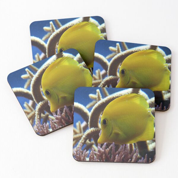 Item preview, Little yellow fish designed and sold by Asrais.