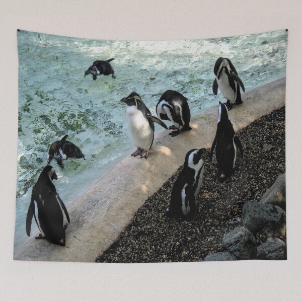 Item preview, Hanging around designed and sold by Asrais.