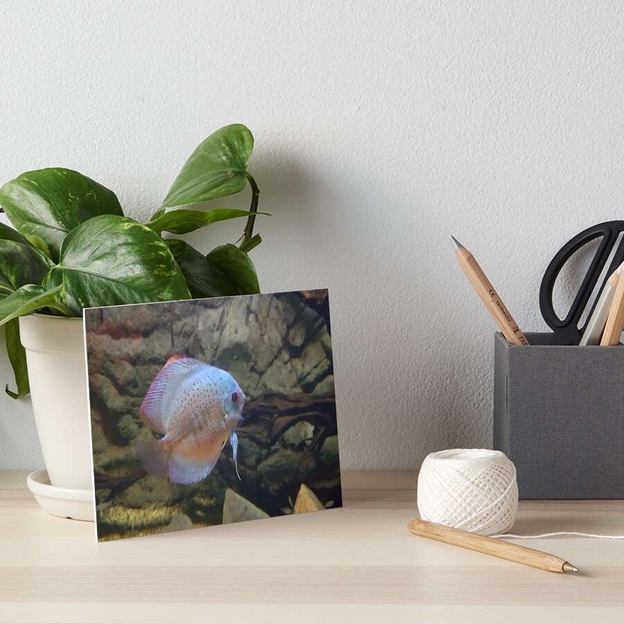 Item preview, Art Board Print designed and sold by JawsWasAShark.