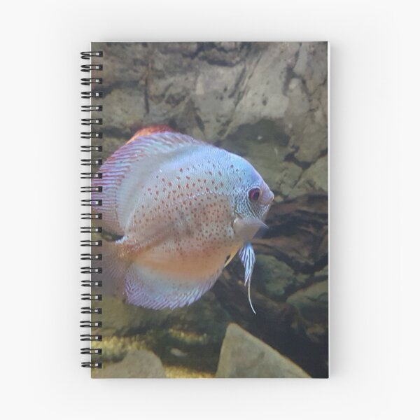 Item preview, Discus designed and sold by JawsWasAShark.