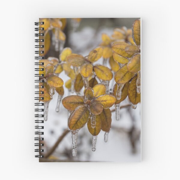 Item preview, Ice Storm Aftermath - Frozen Azalea Leaves  designed and sold by Georgia Mizuleva.
