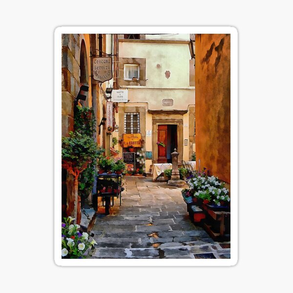 Floral Courtyard Cortona Tuscany Sticker