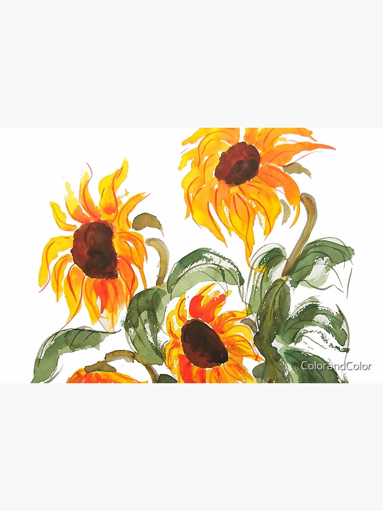 sunflower watercolor 2018 by ColorandColor
