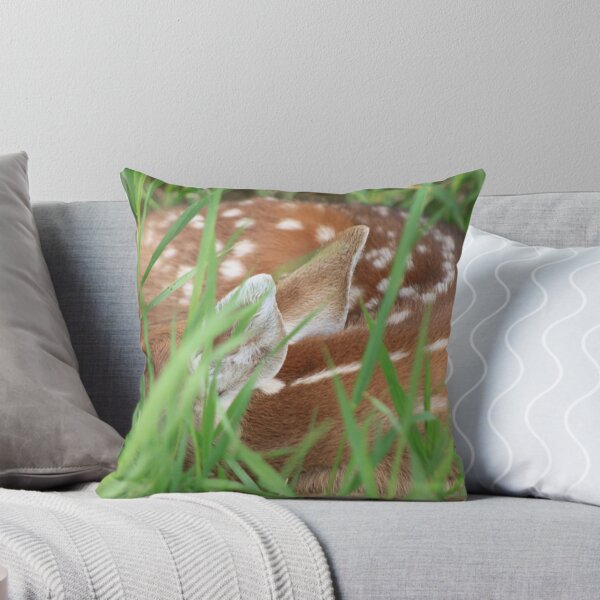 Aperçu de l'œuvre Fawn Dreams créée et vendue par KHartmann.