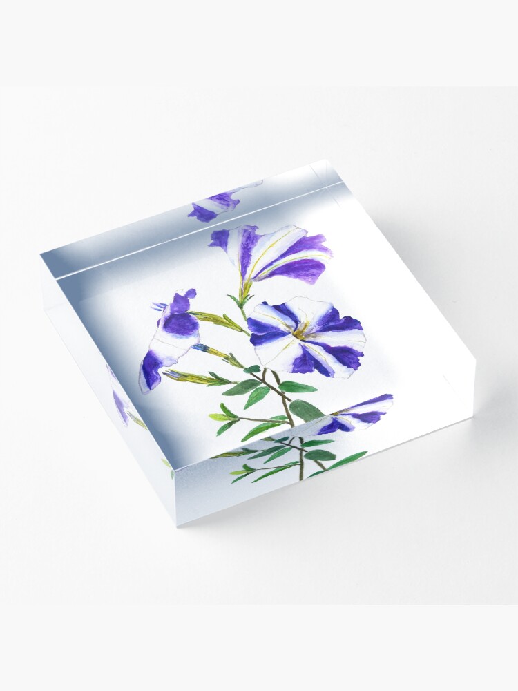 Alternate view of purple petunia Acrylic Block