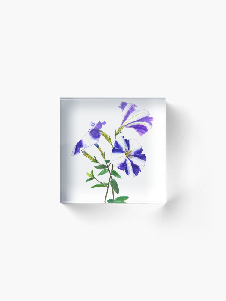 Alternate view of purple petunia Acrylic Block